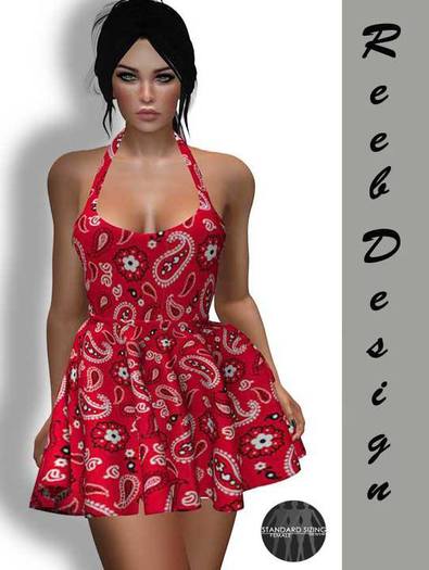 257-Reeb Design Lale Mesh spring dress