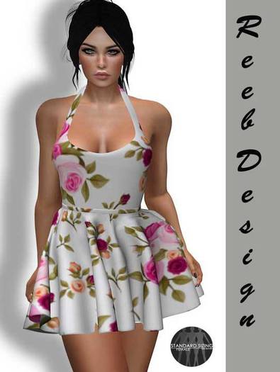 258-Reeb Design Lale Mesh spring dress