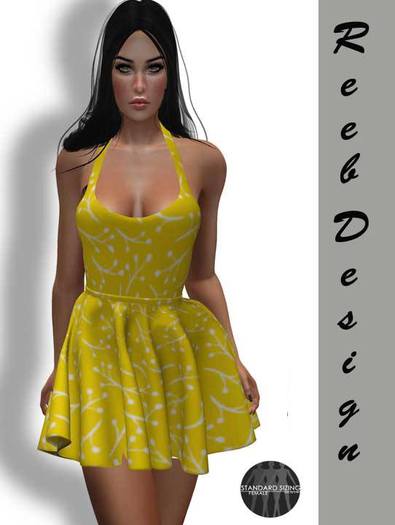 265-Reeb Design Lale Mesh spring dress