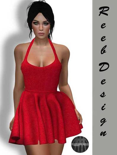 267-Reeb Design Lale Mesh spring dress