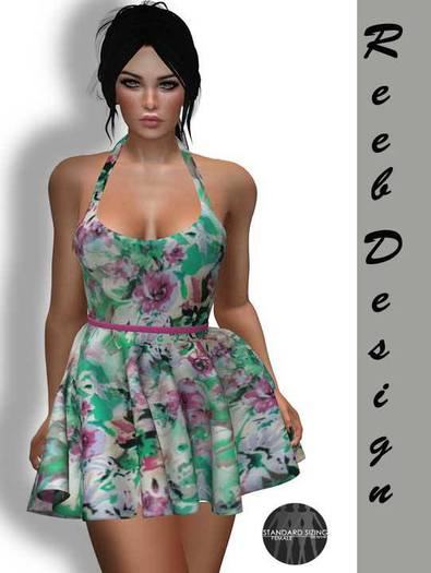270-Reeb Design Lale Mesh spring dress