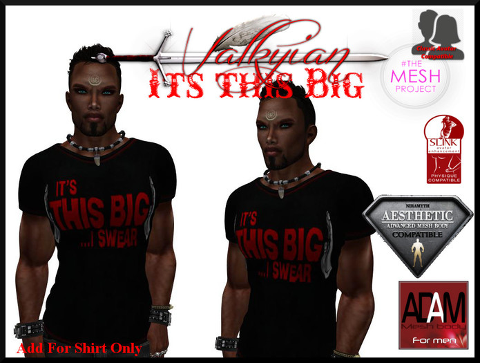~Valkyrian~ Its This Big ! -  TSHIRT (BOXED)