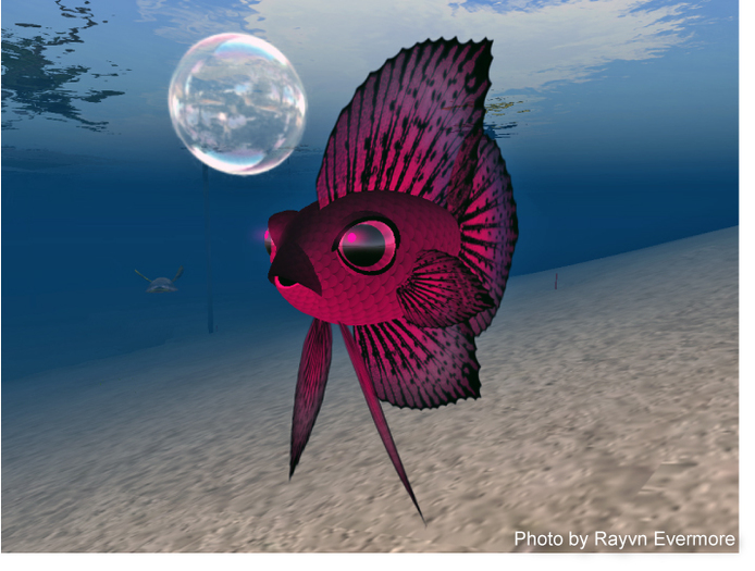 (7S) UltraRare Fish: Jewel Shift Betta