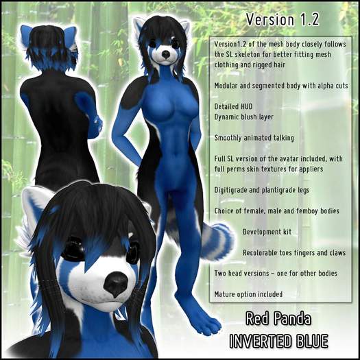 DSD Red Panda - Inverted Blue