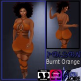{BN} Poison Catsuit- Burnt Orange