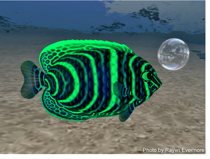 (7S) UltraRare Fish: Shift Juv Emperor