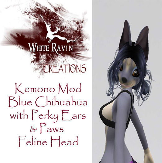 White Ravin Creations - Blue V2 Chihuahua Mod