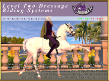 *E* Level Two RealHorse Dressage Riding Systems [BOXED]