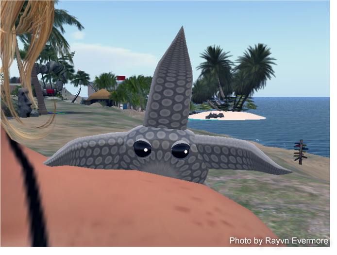 (7S) UltraRare Stuff: Silver Starfish