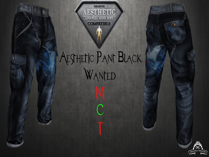 *DC* AESTHETIC Pants - Wanted