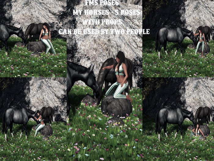 FMS POSES - My horses