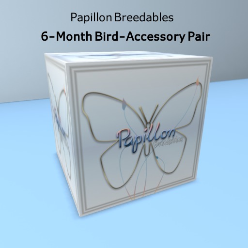 {Papillon} [Boxed] 6-Month Bird-Accessory Pair