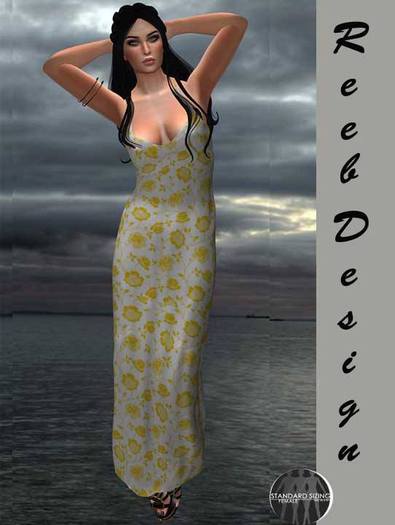 289-Reeb Design Birsen Dress