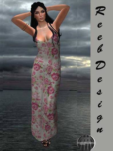 293-Reeb Design Birsen Dress