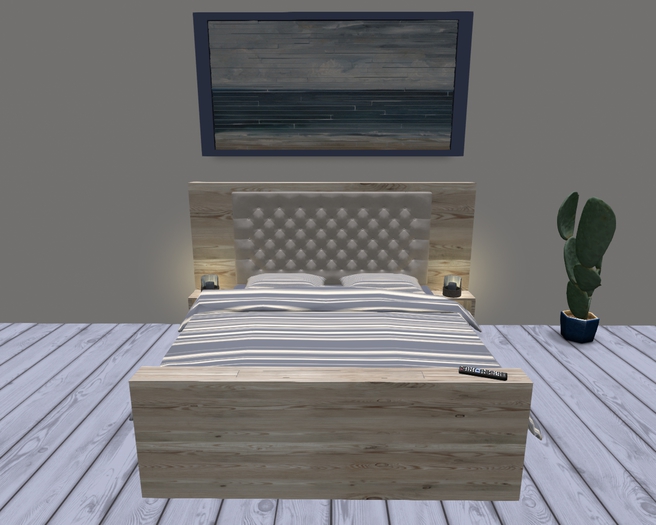 RJD Bed Beach with TV Slide