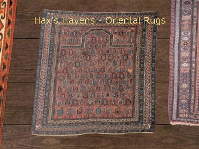 Hax's Havens - Oriental Rug 15