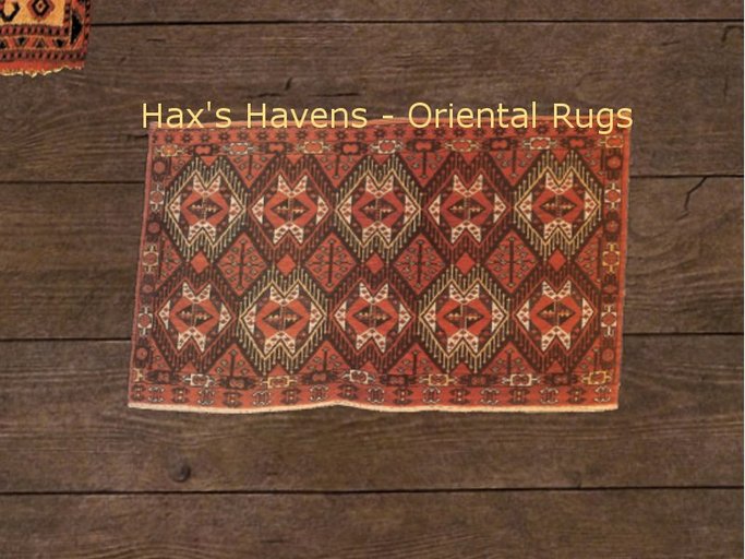 Hax's Havens - Oriental Rug 24