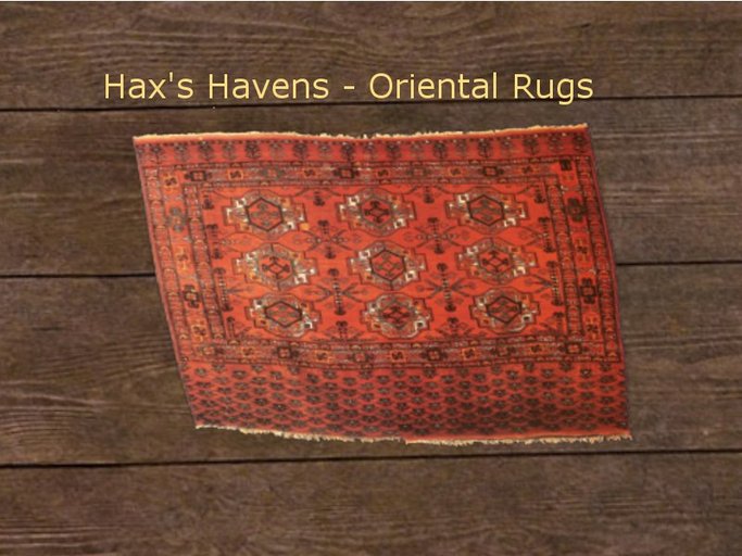 Hax's Havens - Oriental Rug 23