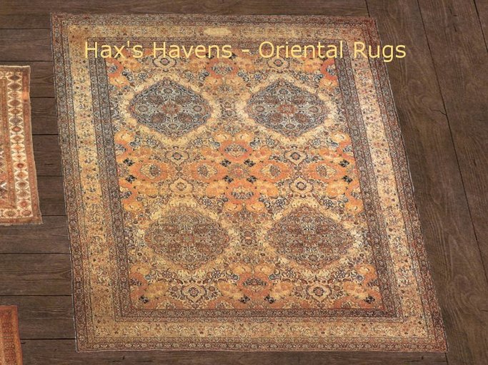 Hax's Havens - Oriental Rug 18