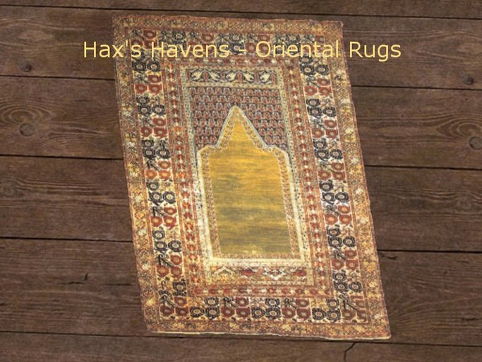 Hax's Havens - Oriental Rug 9