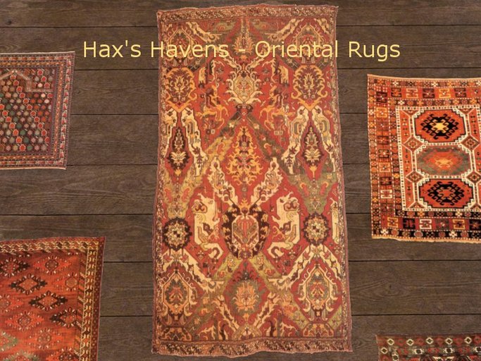 Hax's Havens - Oriental Rug 12