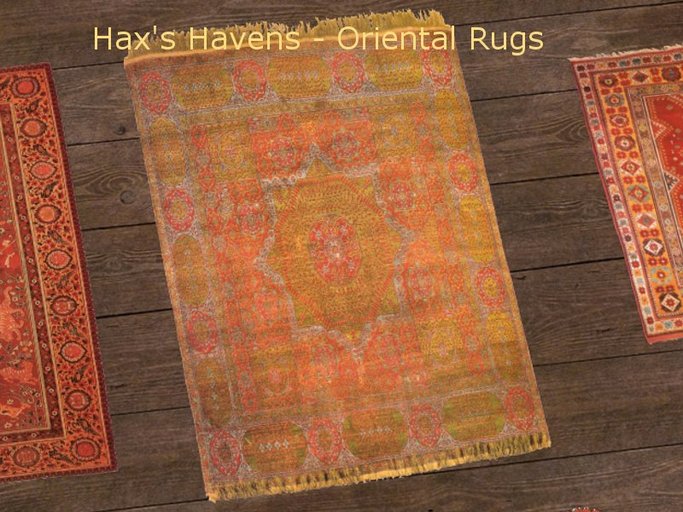 Hax's Havens - Oriental Rug 5