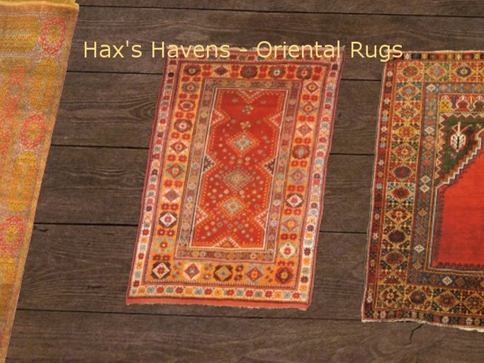 Hax's Havens - Oriental Rug 6