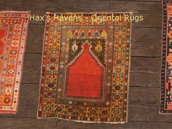 Hax's Havens - Oriental Rug 7