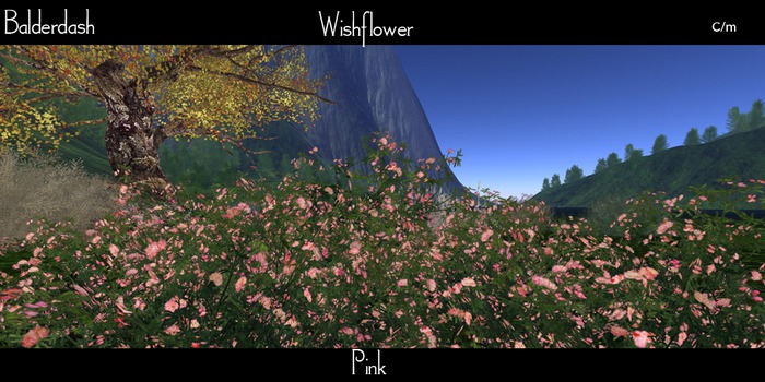 Balderdash - Wishflower - Pink