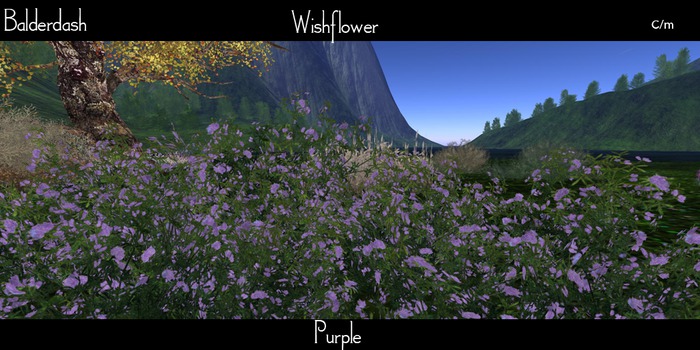 Balderdash - Wishflower - Purple