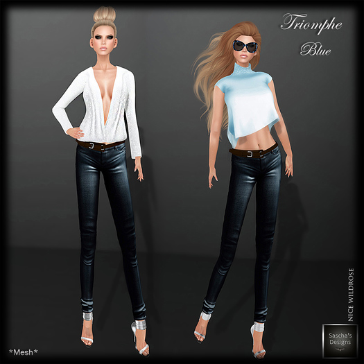 SAS - Triomphe Blue Outfit