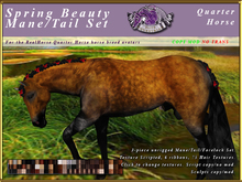 *E* Spring Beauty Mane/Tail Set [BOXED] RHQH