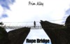 Prim ally 6