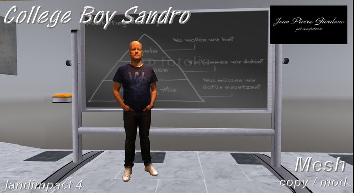 College Boy Sandro mesh