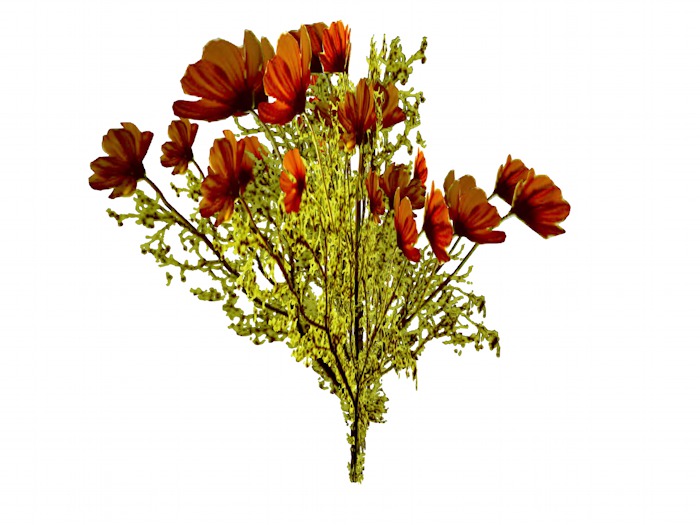 OPQ Autumn Flowers 01