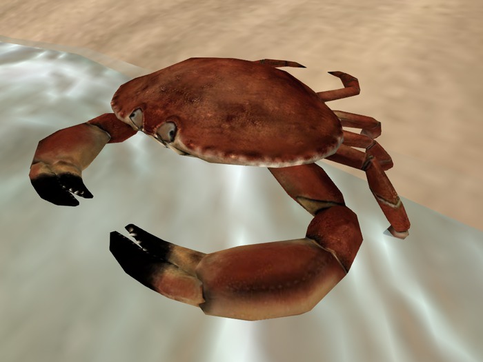 :: HR :: Mesh Crab