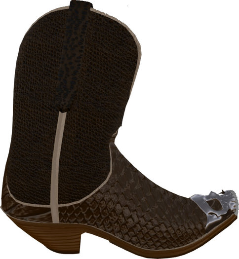 Mexican Boots Low