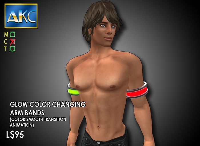 AKC Silver Glow Arm Bands Bag