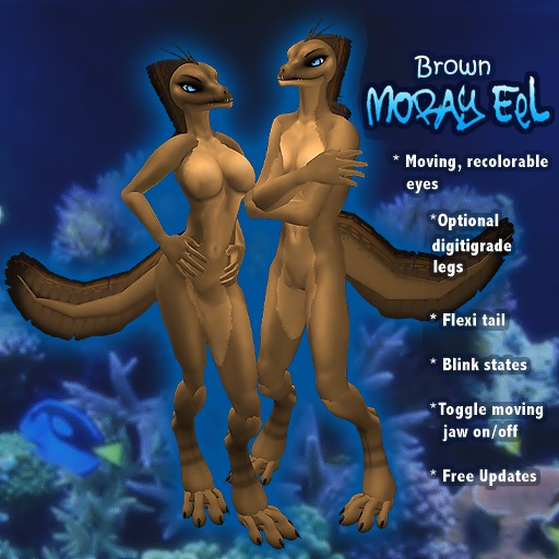 AVentity Eel - Brown