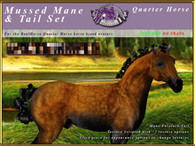 *E* Mussed Mane/Tail Set [BOXED] RHQH
