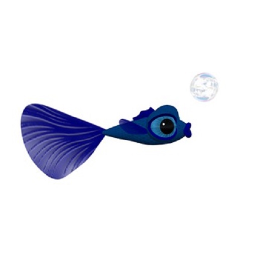 Common Fish: Blue Guppy