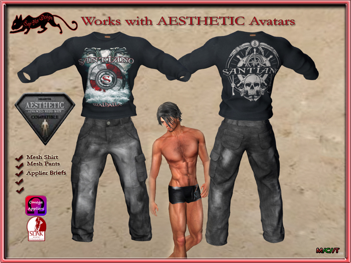 *SY* 2495 Samuel AESTHETIC Carton