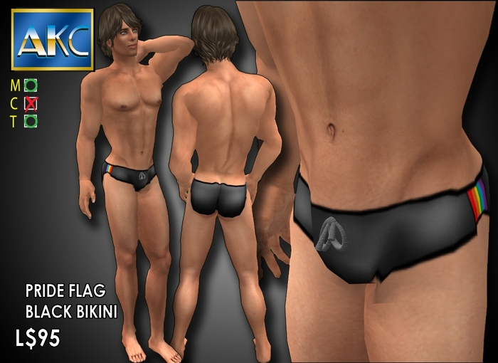 AKC Black Rainbow Stripe Bathing Suit Bag