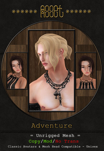 > Asset < Adventure Hair - Reds