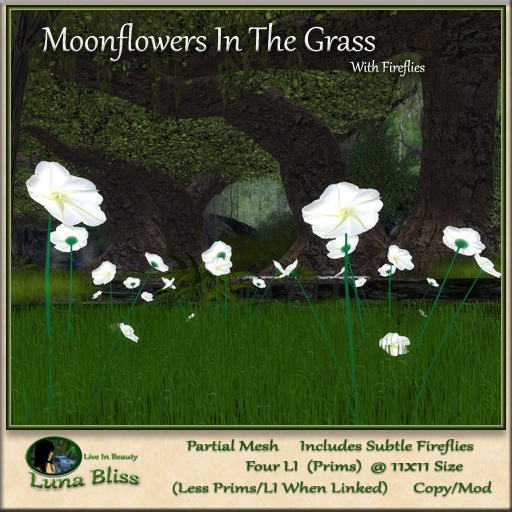 Moonflowers In The Grass With Fireflies (b)