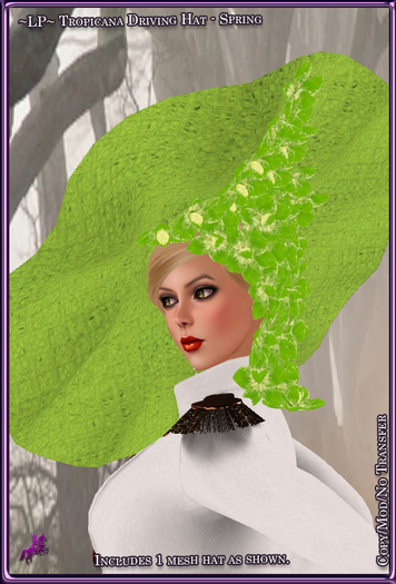 ~LP~ Hat Tropicana [BOXED] Spring