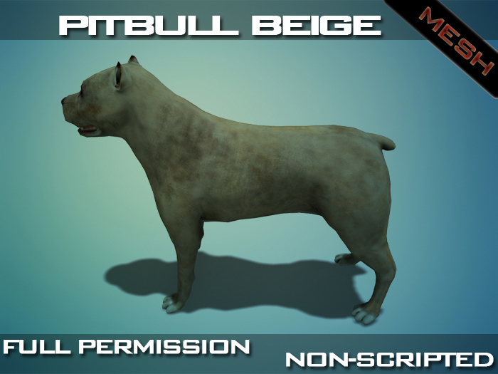Pitbull Beige