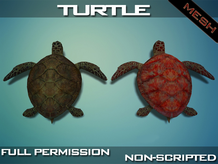 Turtle