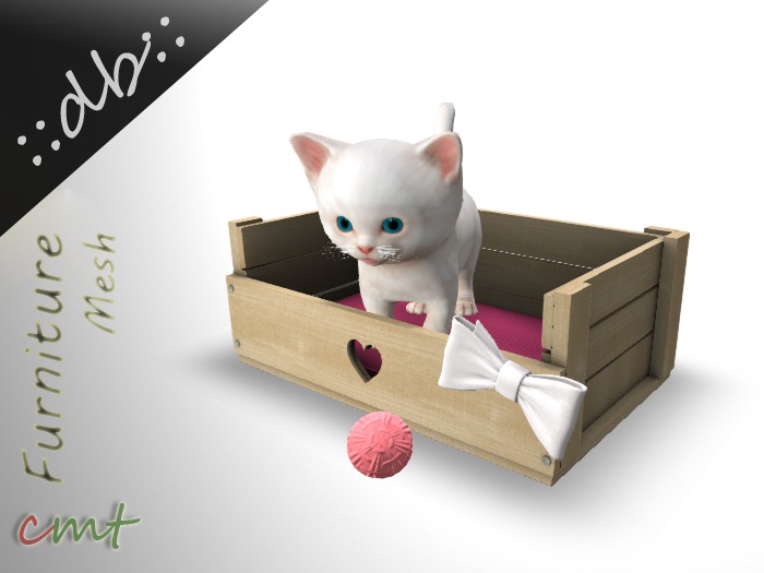::db:: Cute Kitten Standing in Bed