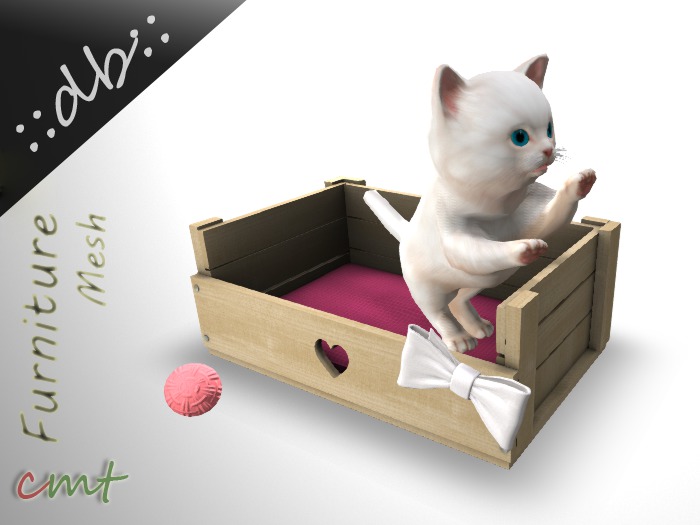 ::db:: Cute Kitten Pouncing in Bed